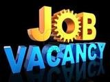 Profile Photos of Career Odisha-Jobs Search and Consultancy Bhubaneswar