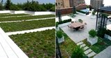 Green Roof Gardens of Smart Roof Nyc