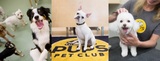  PUPS Pet Club 2811 North Lincoln Avenue 