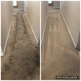 Steam Master DFW Carpet & Tile Cleaning, Fort Worth