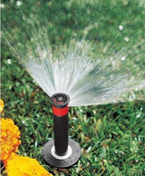 Aqualine Sprinklers and Irrigation, Elanora