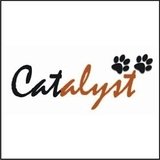 Profile Photos of Catalyst Consulting Services