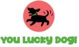  You Lucky Dog 2911 Dixwell Avenue, Unit B-9 
