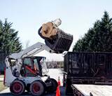 Mobile Tree Removal Services, Mobile