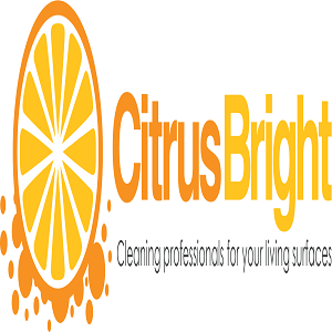  Profile Photos of Citrus Bright Carpet Cleaning 6013 E Fox Hollow Ln - Photo 1 of 1
