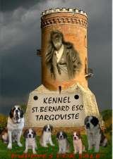 Profile Photos of kennel st.bernard esc targoviste