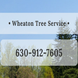 Wheaton Tree Removal, Wheaton