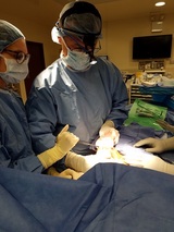  Vantage Plastic Surgery: Aleksandr Shteynberg, MD, FACS 791 Park Avenue, #1B 