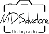  M. DiSalvatore Photography 40 John St 