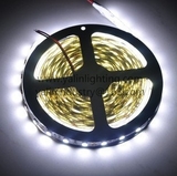3528SMD 120 LED strip lights, cool white 6000K 6500K rope lighting, Christmas RGB decorative tape www.yalinlighting.com Yalin Industry Company Limited Fengxiang Industry Zone, Daliang, Shunde 