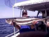 Profile Photos of Discovery Fishing Charters