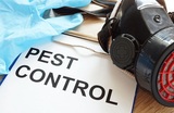 Urban Hub Pest Control Solutions, Wilmington