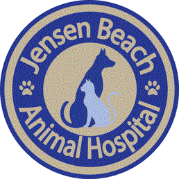  Profile Photos of Jensen Beach Animal Hospital 1553 NE Arch Ave - Photo 1 of 4