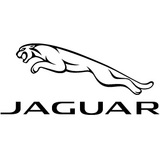 Jaguar Cincinnati, Cincinnati