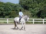 Profile Photos of Little Leigh Farm Equestrian Centre