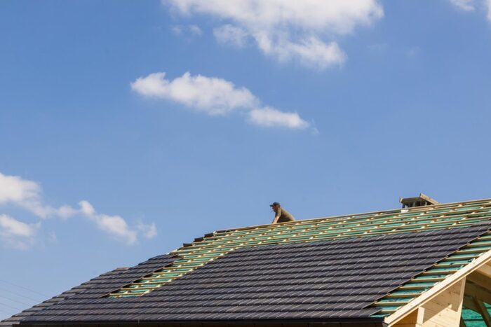  Profile Photos of Springfield Roofing Pros N/A - Photo 6 of 8