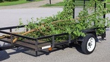 Oyster Town Tree Service, Norwalk