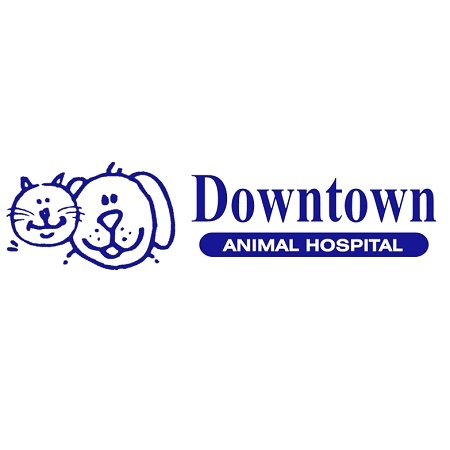  Profile Photos of Downtown Animal Hospital 579 Church St - Photo 1 of 5