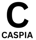  Profile Photos of Caspia Research London's Premier Web Agency Enterprise House, 5 New Town Rd, - Photo 2 of 2