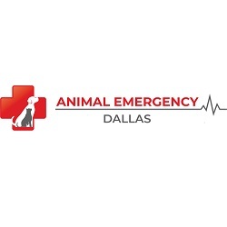  Profile Photos of Dallas Animal Emergency 3337 N. Fitzhugh Ave. - Photo 1 of 1