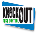 KNOCKOUT Pest Control, Jacksonville