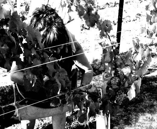  Profile Photos of London Wine Shippers 1E Broughton Street - Photo 13 of 15