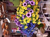  Carousel Floral Gift and Garden Center - Broadway 1608 S. Broadway 