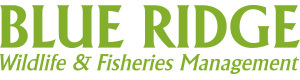  New Album of Blue Ridge Wildlife & Fisheries Management, LLC 243 Ridge McIntire Road, #1018 - Photo 1 of 1