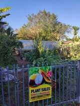  Edible Landscaping and Fruit Tree Nursery LLC 7637 NE 1st Ave R (Rear 