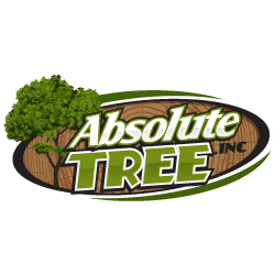  Profile Photos of Absolute Tree Inc 8605 Richmond Highway - Photo 1 of 1
