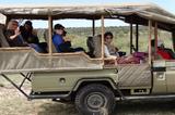 Masai Mara Safari Tours, East african Exotic Safaris, Nairobi