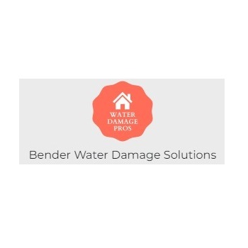  Profile Photos of Bender Water Damage Solutions 105 E Jefferson Blvd #802 - Photo 2 of 3