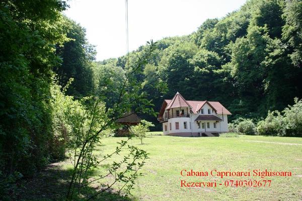  Profile Photos of We invite you to Deer’s Cottage, Sighisoara Calea Baratilor - Photo 1 of 9