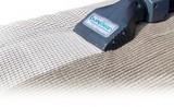 Profile Photos of Pure Clean - Seattle Carpet Cleaning