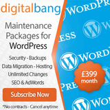 WordPress Support Packages - Premium Plan £399/month