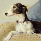 'Lurcher on Spots' by Claire Eastgate
