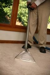 Profile Photos of Carpet Cleaners Barnet Ltd.