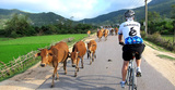 Vietnam Adventure Cycling, HO CHI MINH CITY