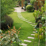 Profile Photos of Peters Professional Landscaping