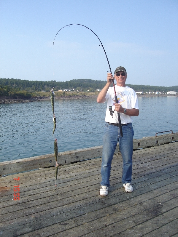 You can catch one on every hook you cast out.                          Profile Photos of Harbour Tide Inn ~ Bed & Breakfast 725 Main Street - Photo 80 of 83