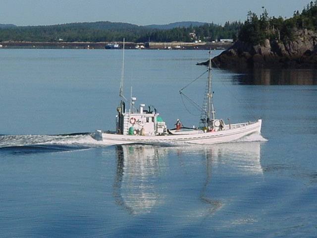 One of the historic Connor's Sardine carriers heading into port. Profile Photos of Harbour Tide Inn ~ Bed & Breakfast 725 Main Street - Photo 64 of 83