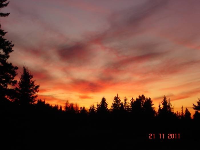 One of our many amazing sunsets. Profile Photos of Harbour Tide Inn ~ Bed & Breakfast 725 Main Street - Photo 82 of 83