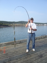 You can catch one on every hook you cast out.                          Harbour Tide Inn ~ Bed & Breakfast 725 Main Street 