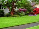  Amazing Lawns 9373 Macon Rd. Suite # 5 