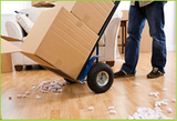 Profile Photos of Removalists Melbourne