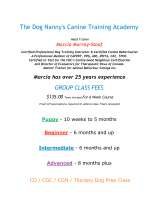 Pricelists of The Dog Nanny's Canine Training Academy