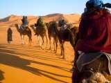 Profile Photos of Travel Exploration Morocco