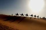  Morocco Dunes Tours-Travel-to-real-Morocco-Tours-in-Morocco Avenue Safi, Geliz 