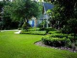 Profile Photos of Done Right Landscaping San Antonio