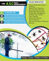 AXC Pest Management | German cockroach treatment in Tweed heads, Tweed heads